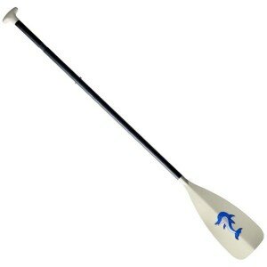 CannonPaddleKids