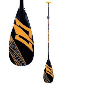 16NaishPaddleKeikiKids