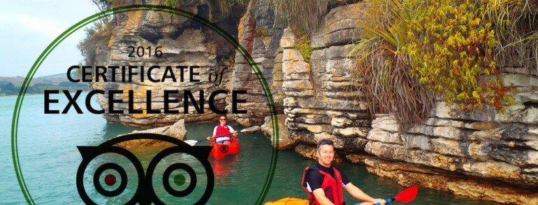Raglan Watersports – Tripadvisor