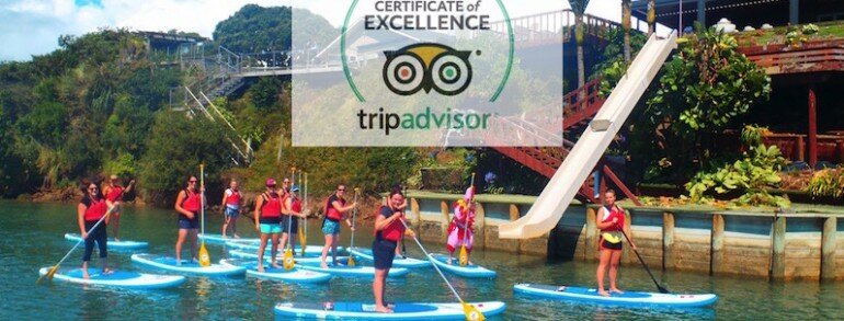 TripAdvisor 2017 Certificate