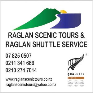 1 Raglan Tours & Shuttles